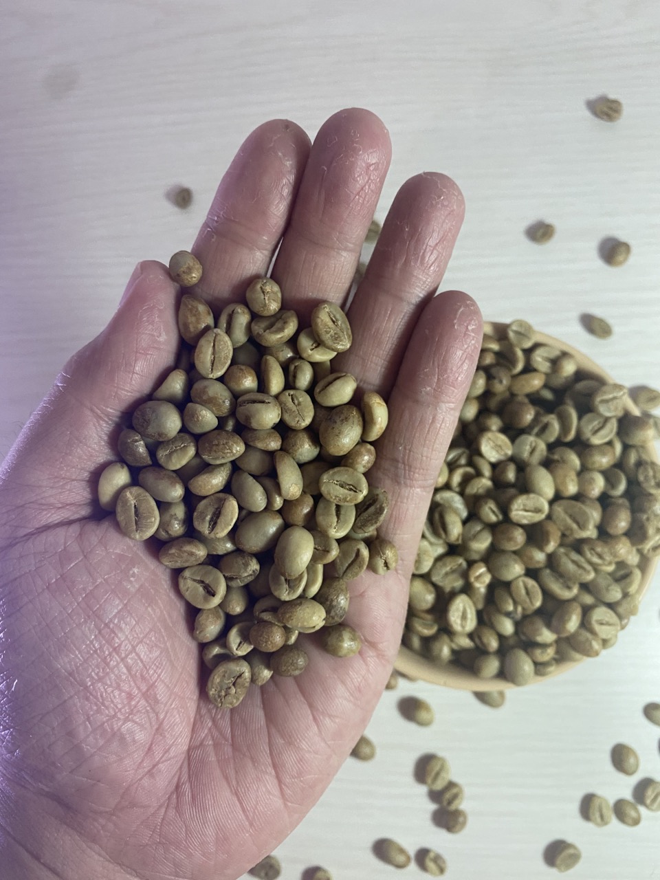 Excelsa Coffee Bean Low Caffeine Inaexport